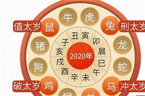 虎年 2023|2023年属虎人的流年运势、每月运势详解